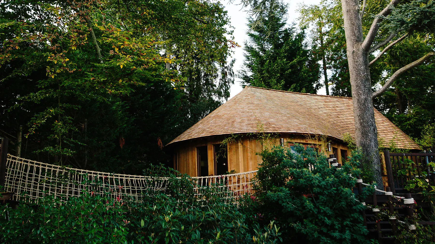 pool view tree house header