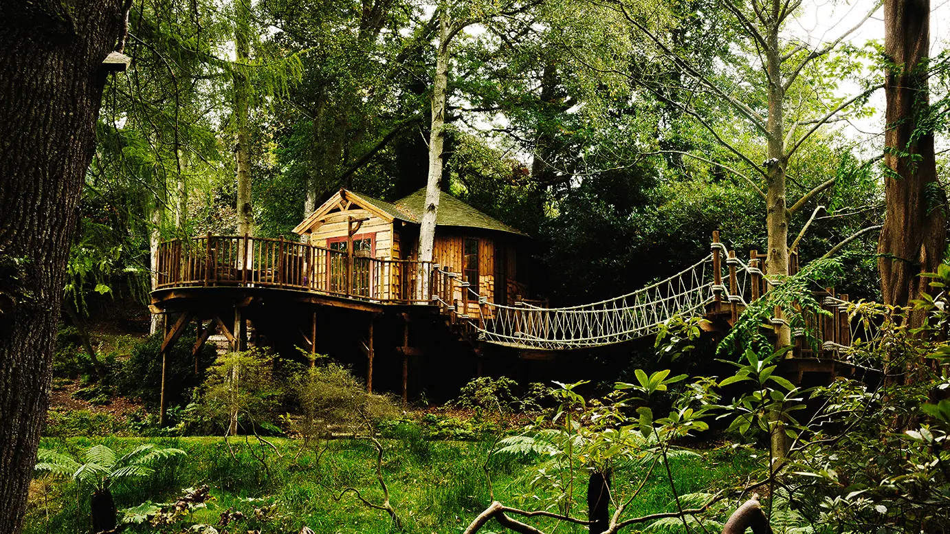 the treehouse kitchen
